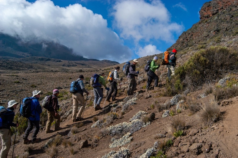 kilimanjaro-trekking